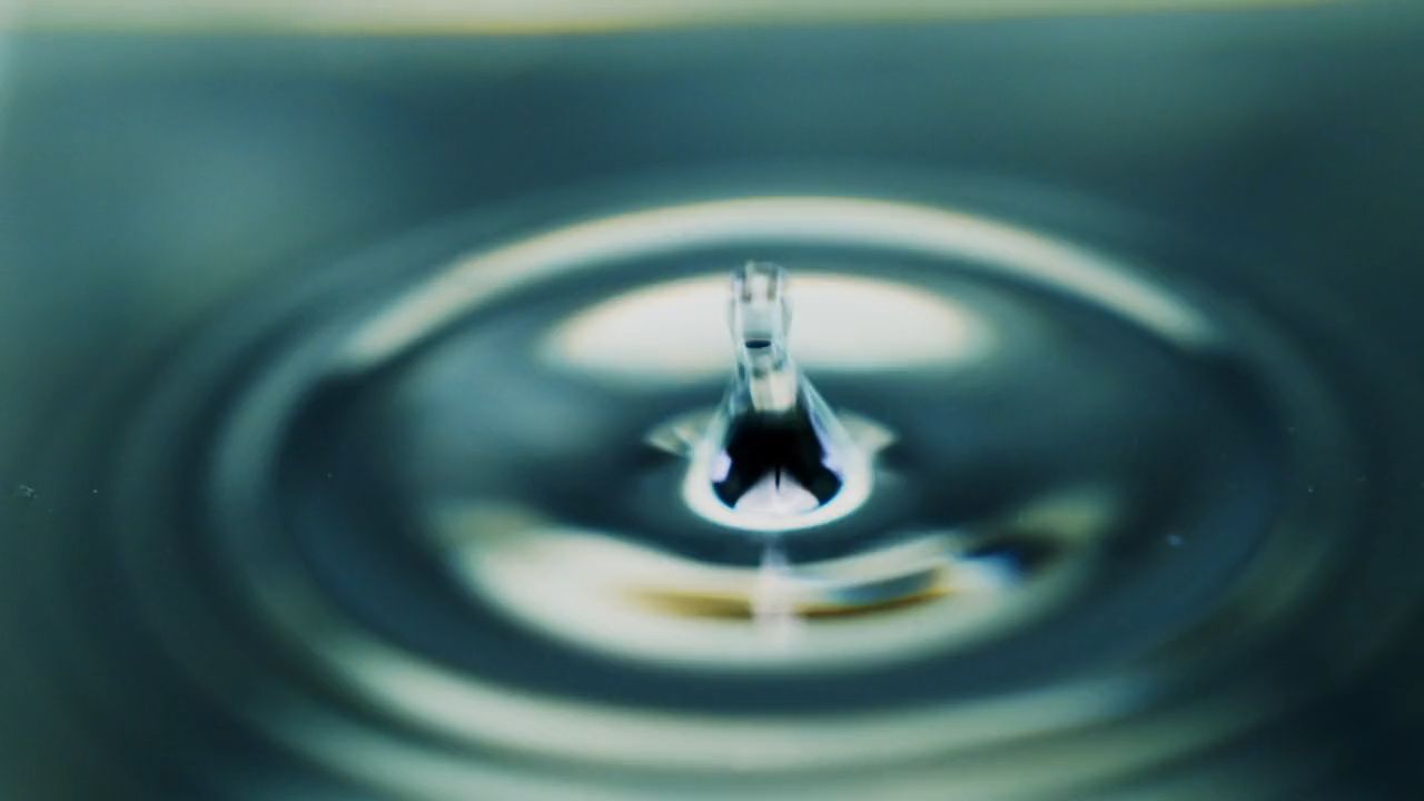 Customer Video